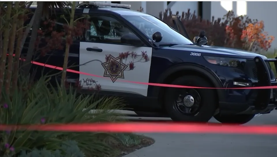 Martha Currie Elementary School Lockdown: Two Surrey Schools Temporarily Secured Following Nearby Police Incident